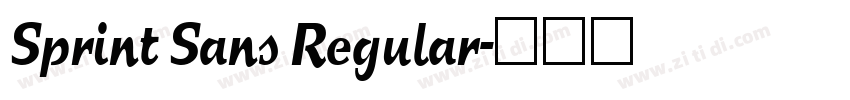 Sprint Sans Regular字体转换